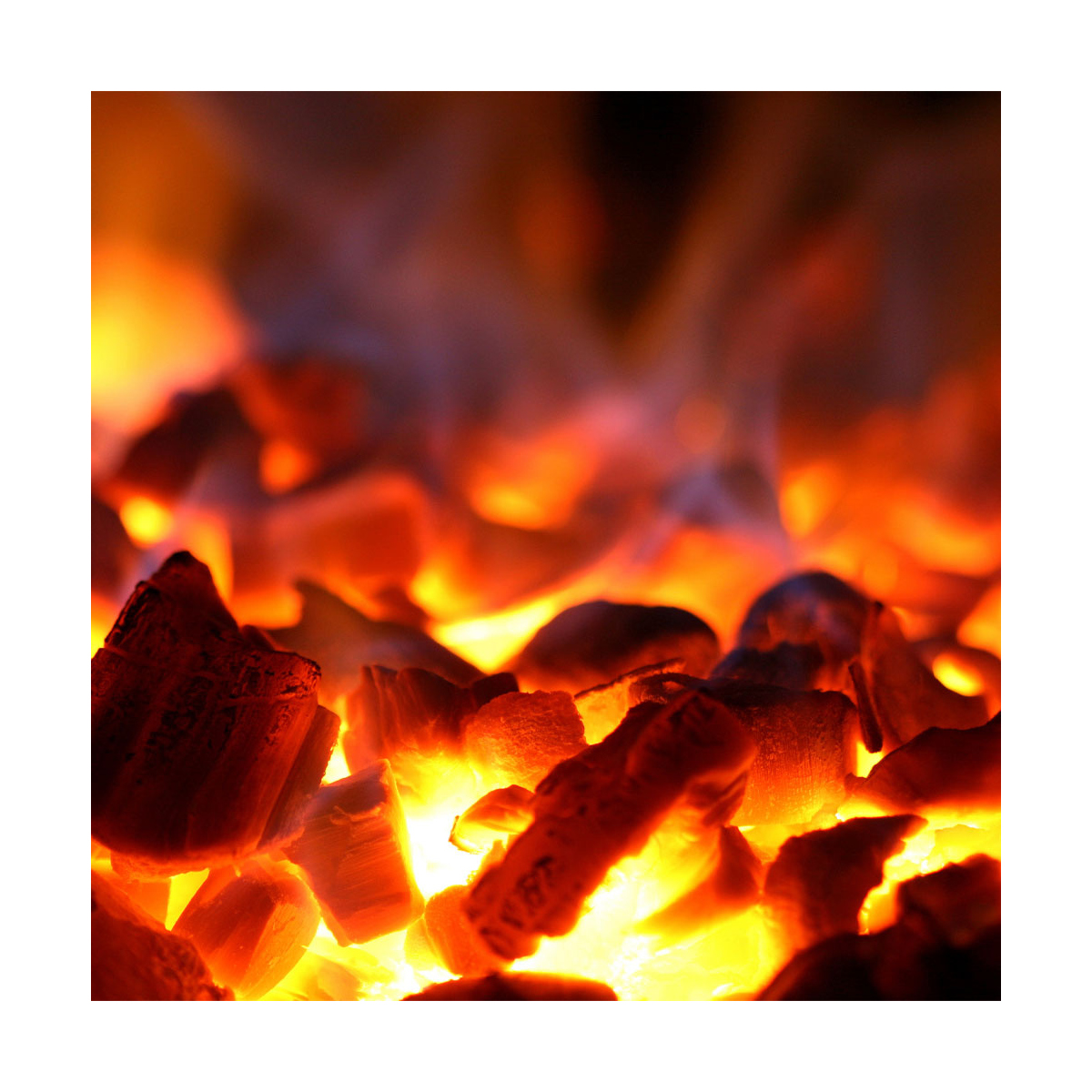 image houtskooloven-bbq, gn 1/1 (60 kg/h)/ - hefbare deur/roestvrij staal 1