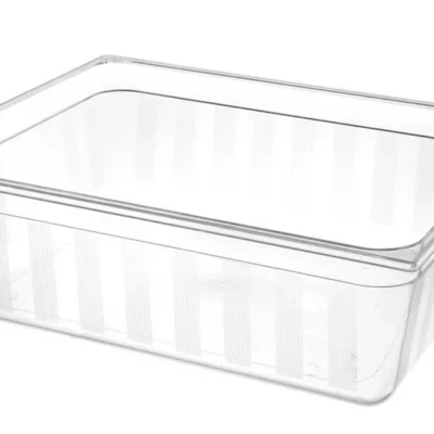 Container GN 2/1 - Main Image
