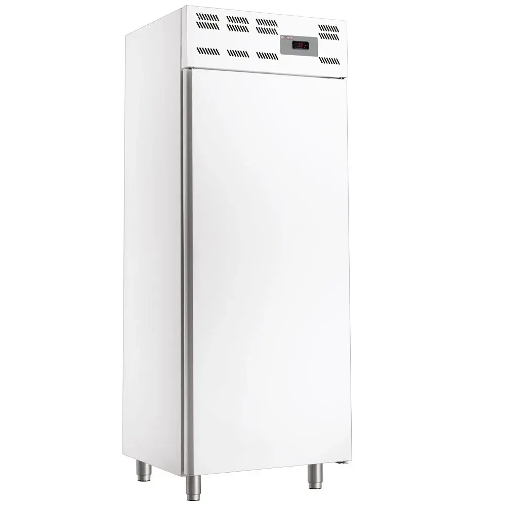 Freezer cabinet 20x EN 600x400, static, (500 Lit.) - Skinplate white - Main Image