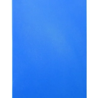 Snijplank HACCP 600x400 - Main Image