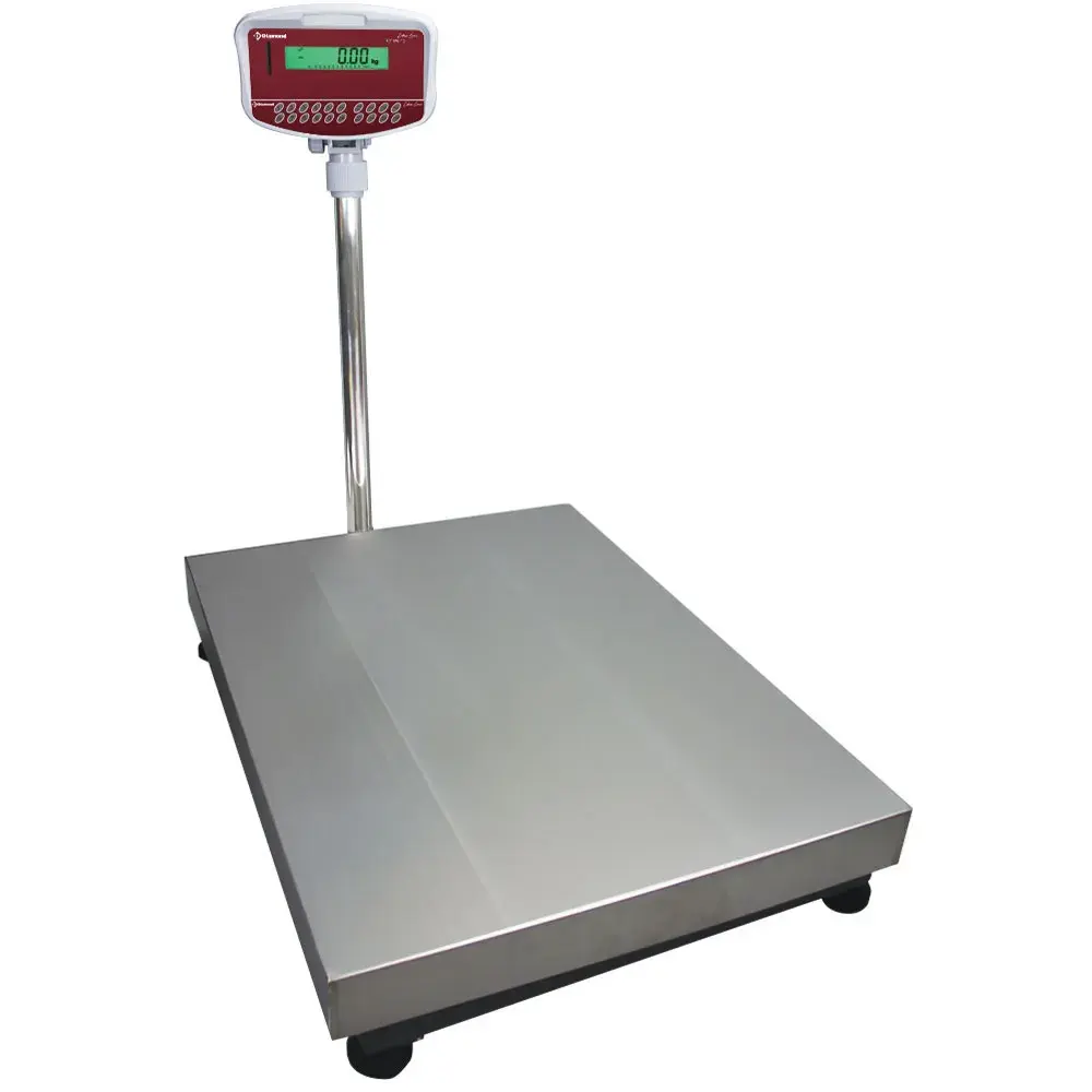 Stainless steel electronic scale with column, 300Kg x 20g - Main Image
